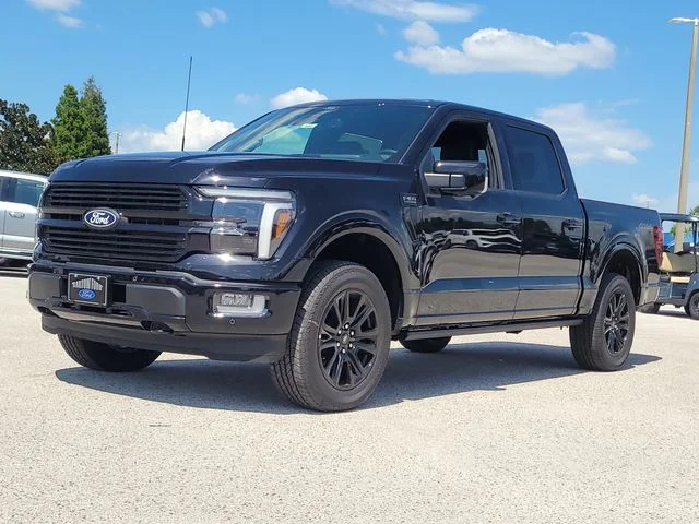 New 2026 Black Metallic Ford Platinum image 32