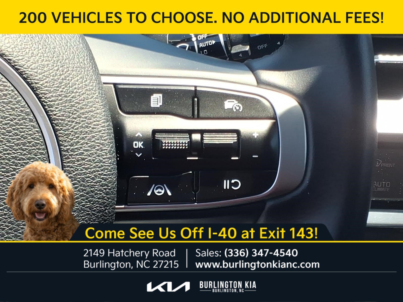 Certified Used 2024 Ebony Black Kia EX image 19
