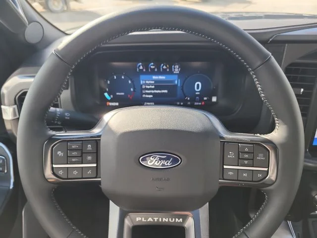 New 2026 Black Metallic Ford Platinum image 32