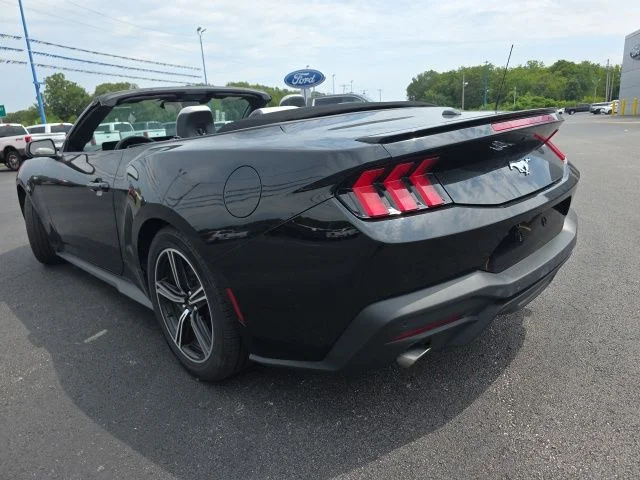 Used 2024 Shadow Black Ford EcoBoost Premium image 7