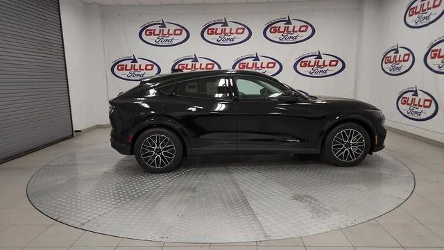 New 2026 Shadow Black Ford Premium image 11