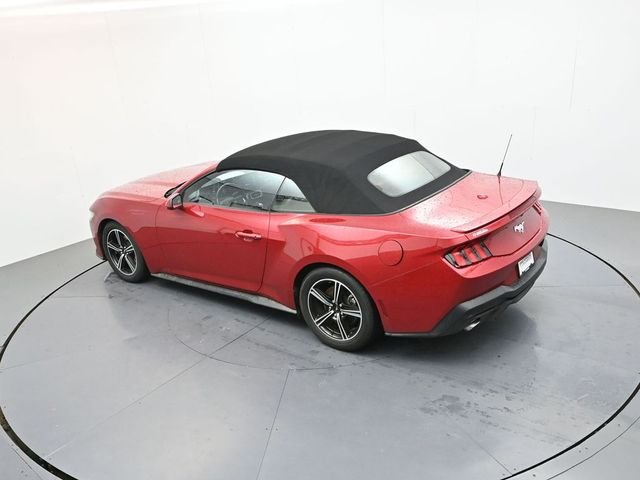Used 2024 Red Ford EcoBoost Premium image 18