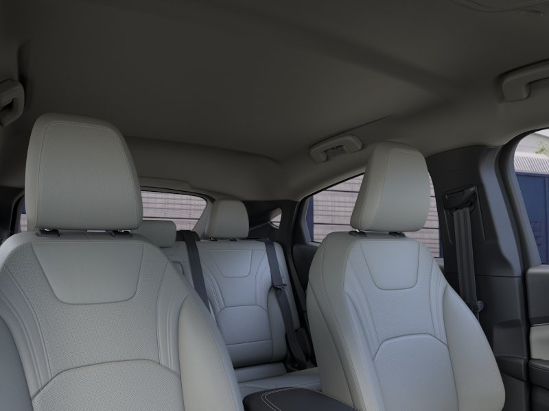 New 2026 Shadow Black Ford Premium image 22