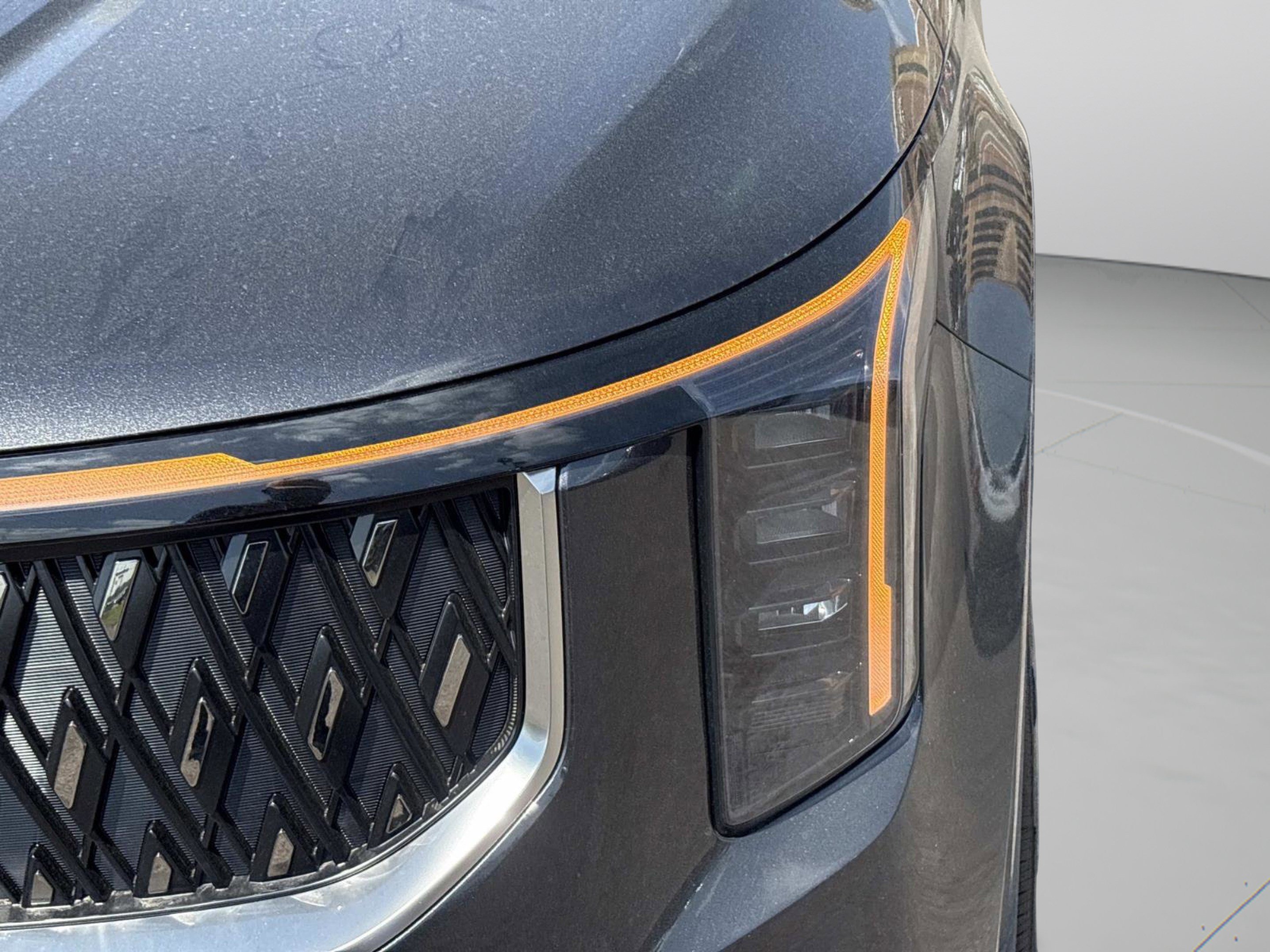 New 2026 Panthera Metal Kia LXS image 10