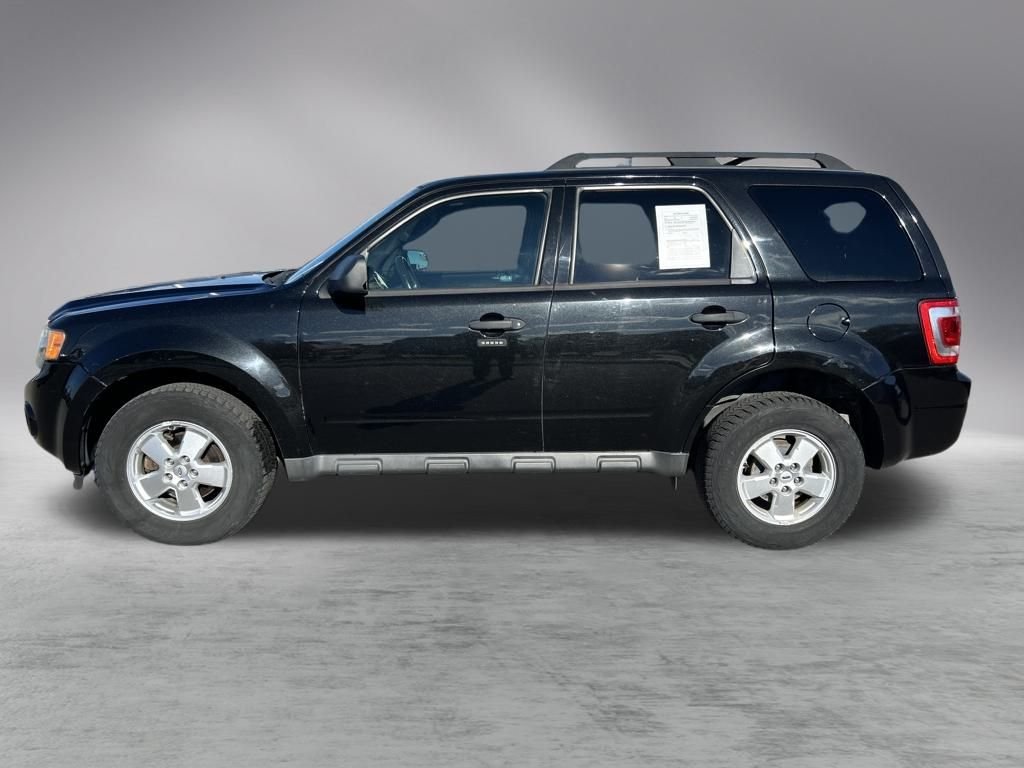 Used 2011 Ford Escape XLT with VIN 1FMCU0DG7BKA42354 for sale in Traverse City, MI