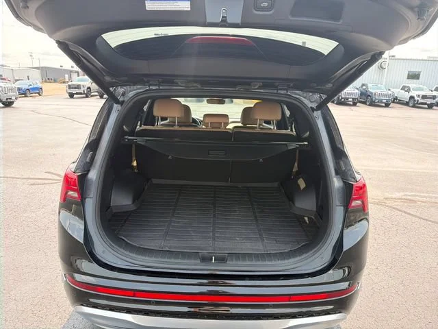 Used 2023 Black Hyundai Calligraphy image 28