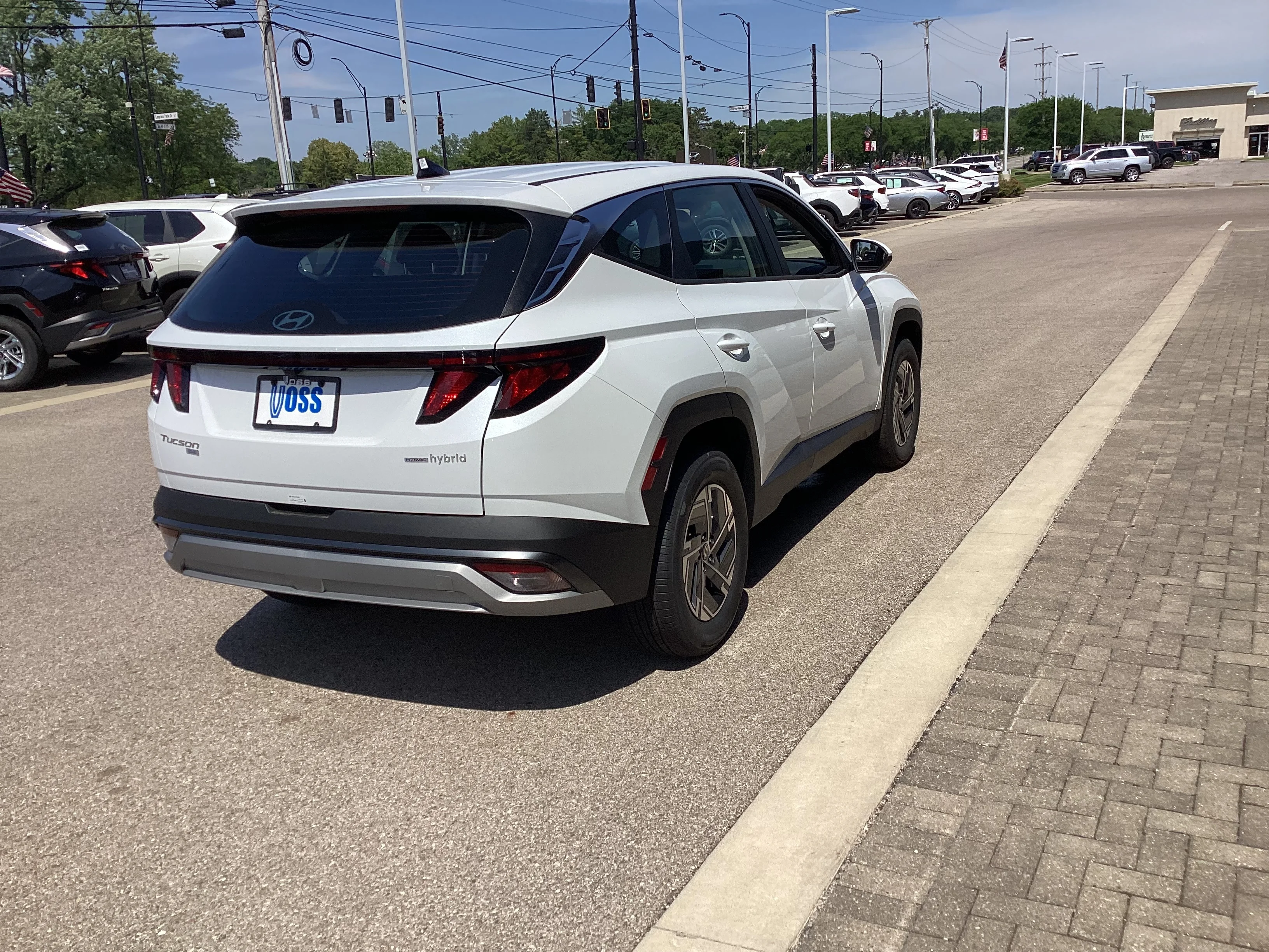 New 2026 Creamy White Pearl Hyundai Blue SE image 9
