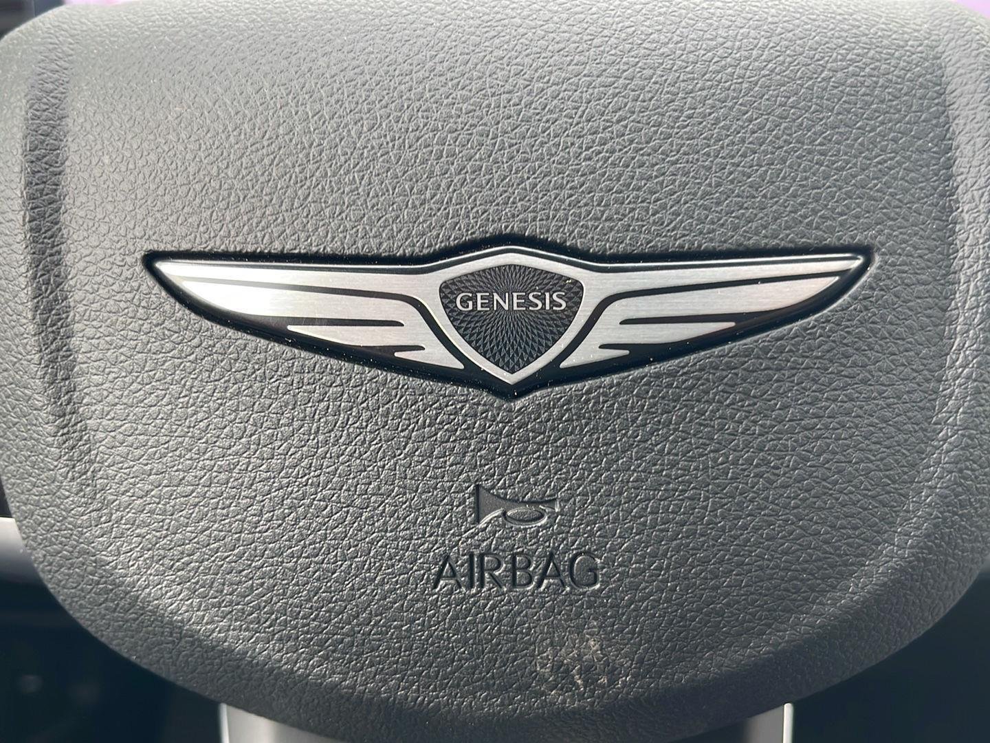 New 2026 Vik Black Genesis 2.5T image 24
