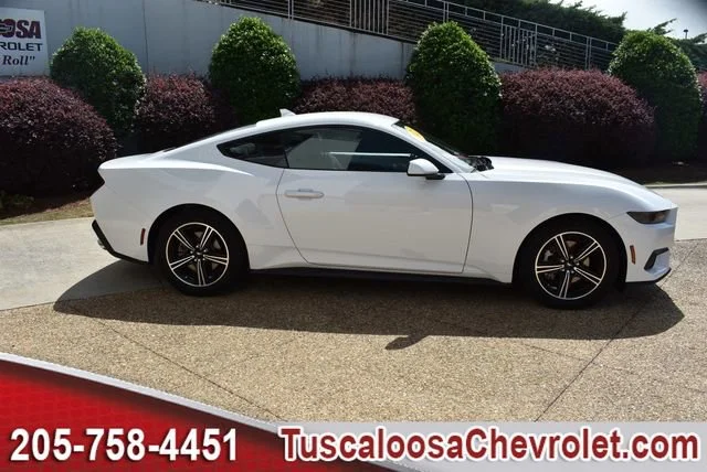 Used 2025 White Ford EcoBoost Fastback image 11