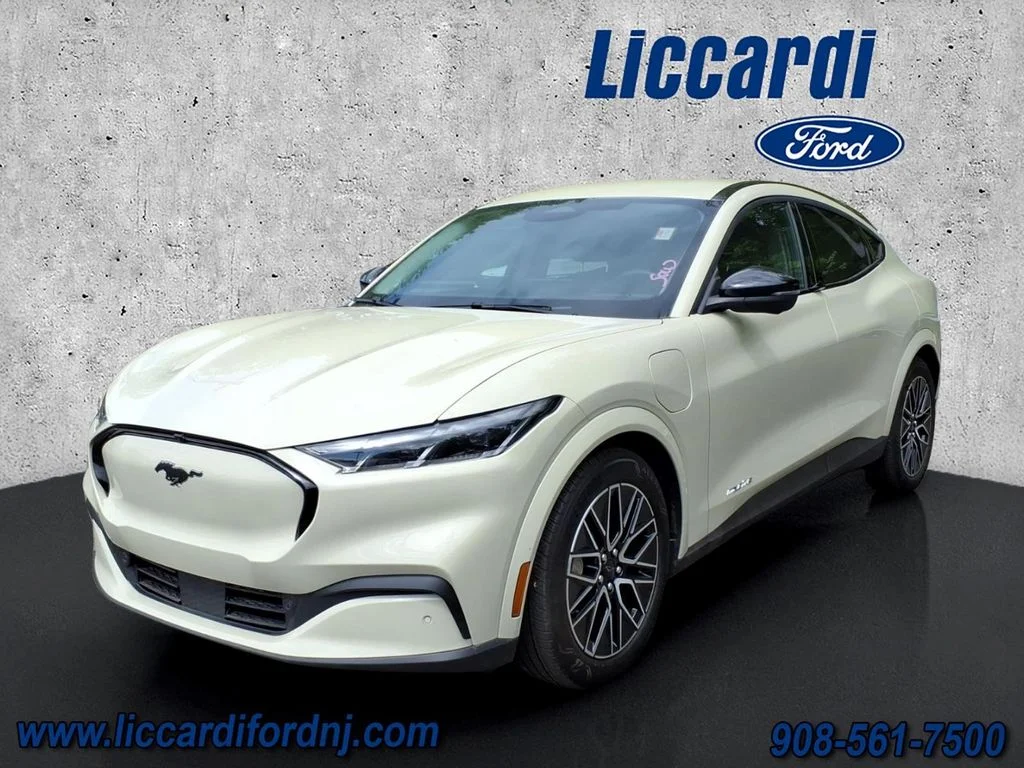 Used 2025 Beige Ford Premium image 3