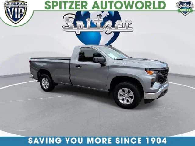 Used 2025 Gray Chevrolet WT image 3