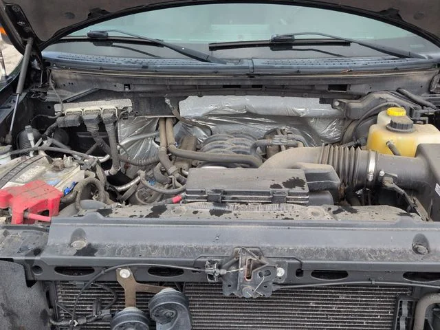 Used 2014 Blue Ford XLT image 30