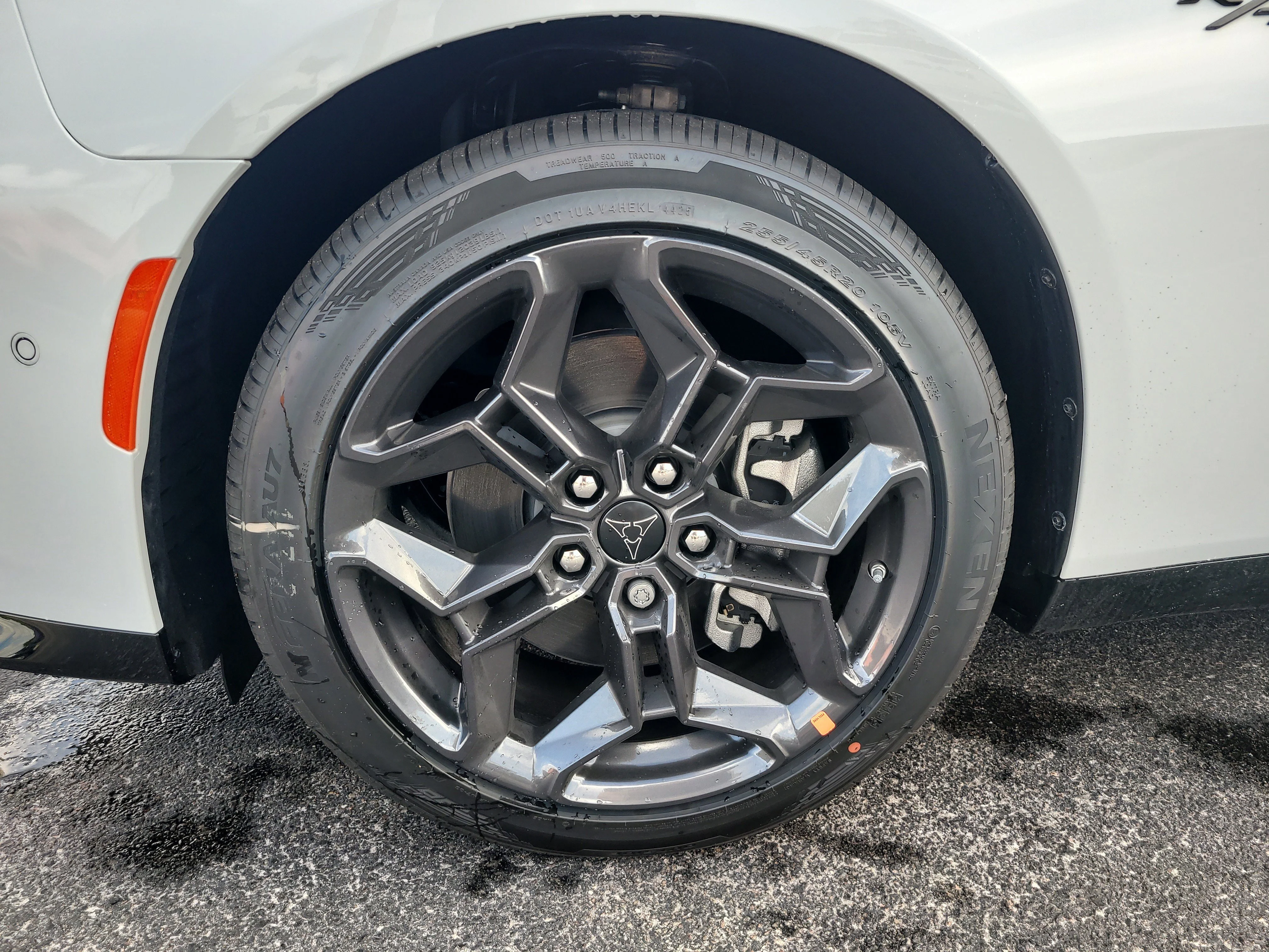 New 2026 White Knuckle Dodge R/T image 10