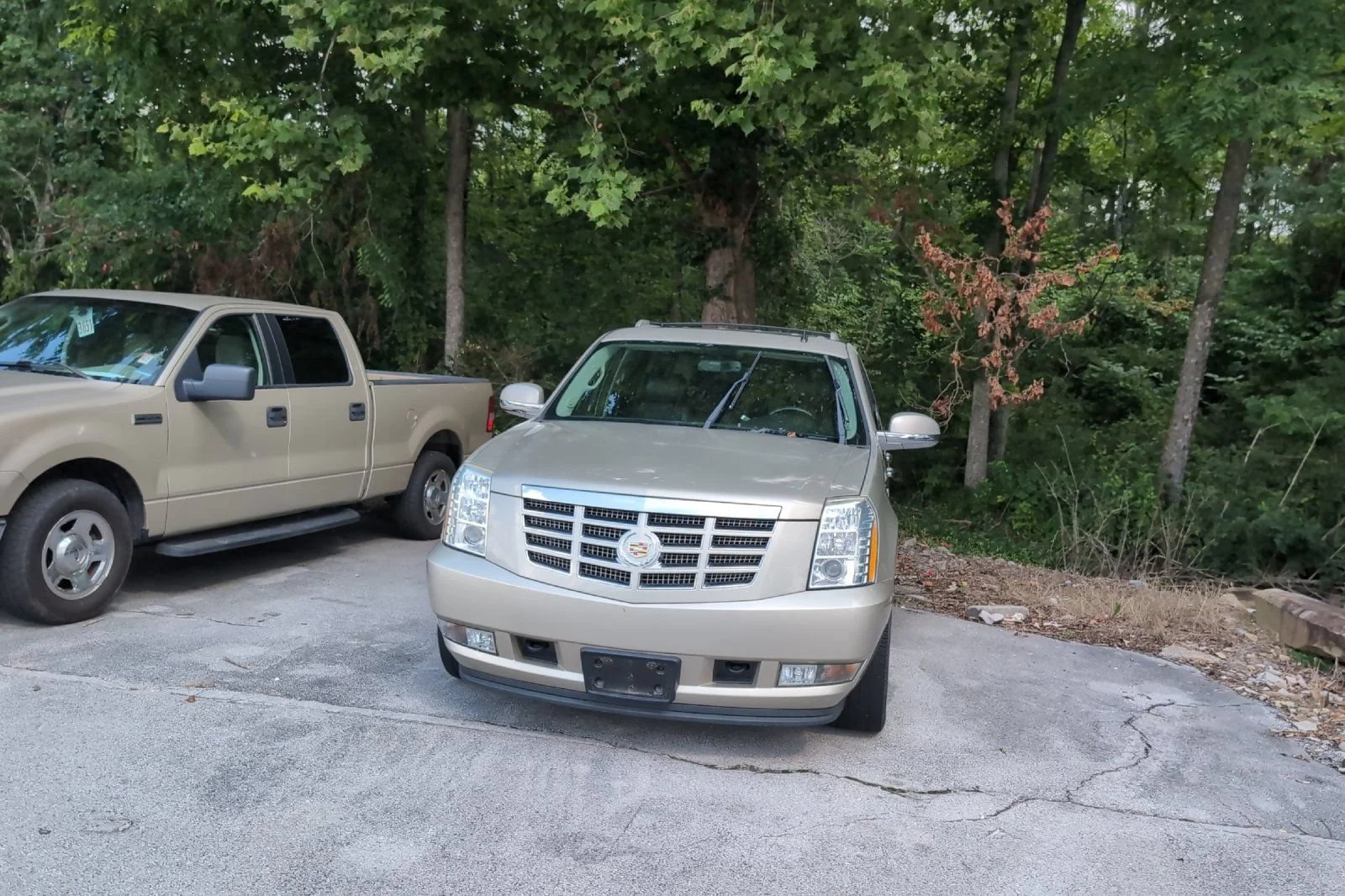 Used 2014 SILVER COAST METALLIC Cadillac Luxury image 8