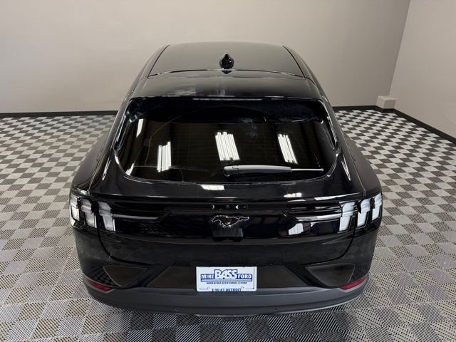 New 2026 Shadow Black Ford Premium image 11