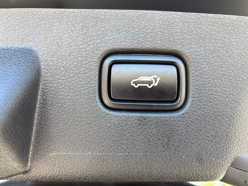 Used 2023 Black Kia X-Line image 14