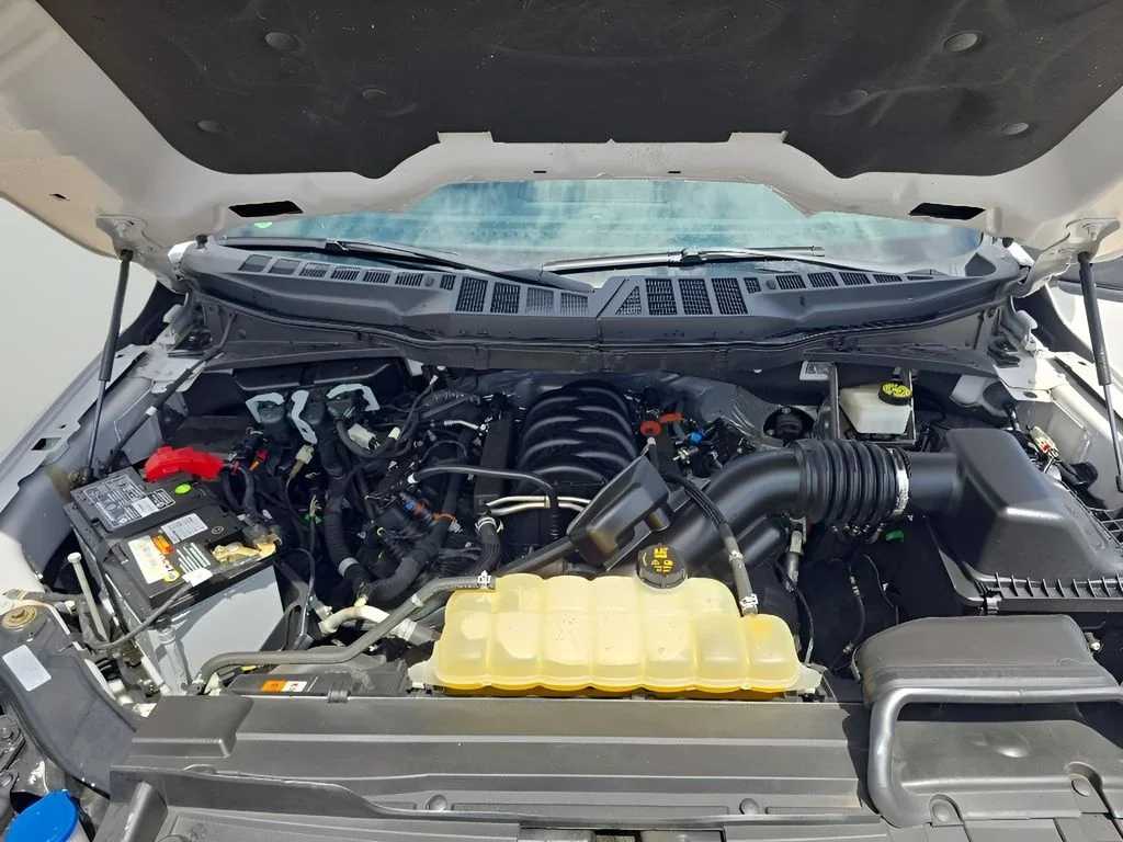 Used 2022 White Ford  image 11