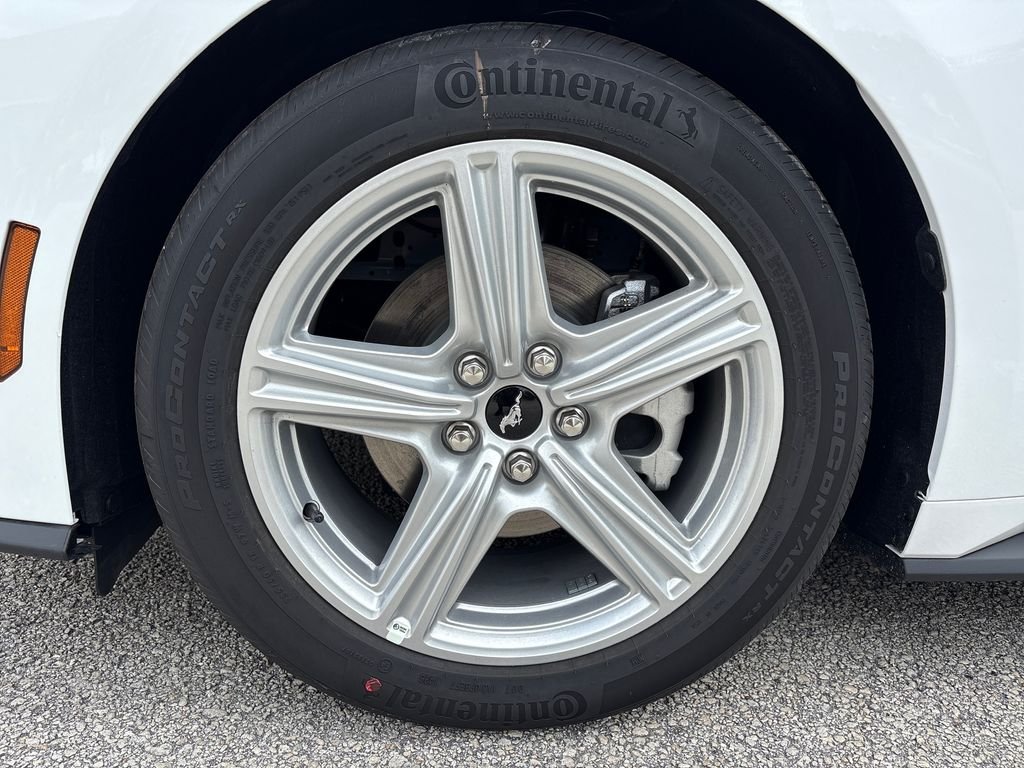 New 2026 White Ford EcoBoost Premium image 14