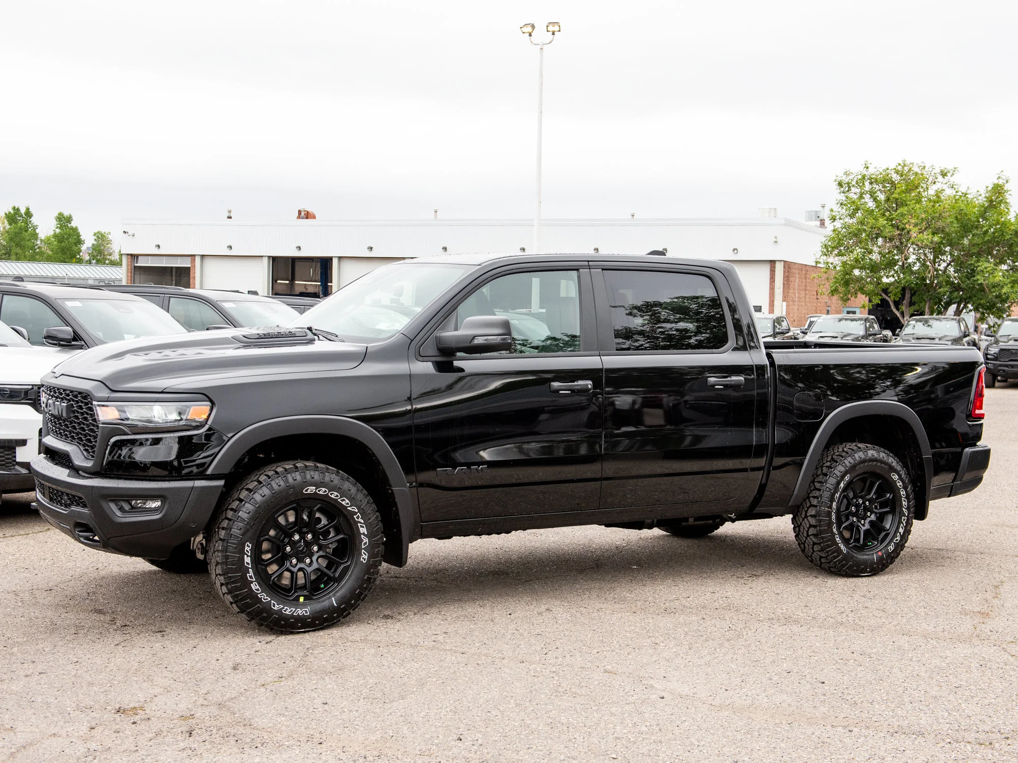 New 2026 Black RAM Rebel* image 4