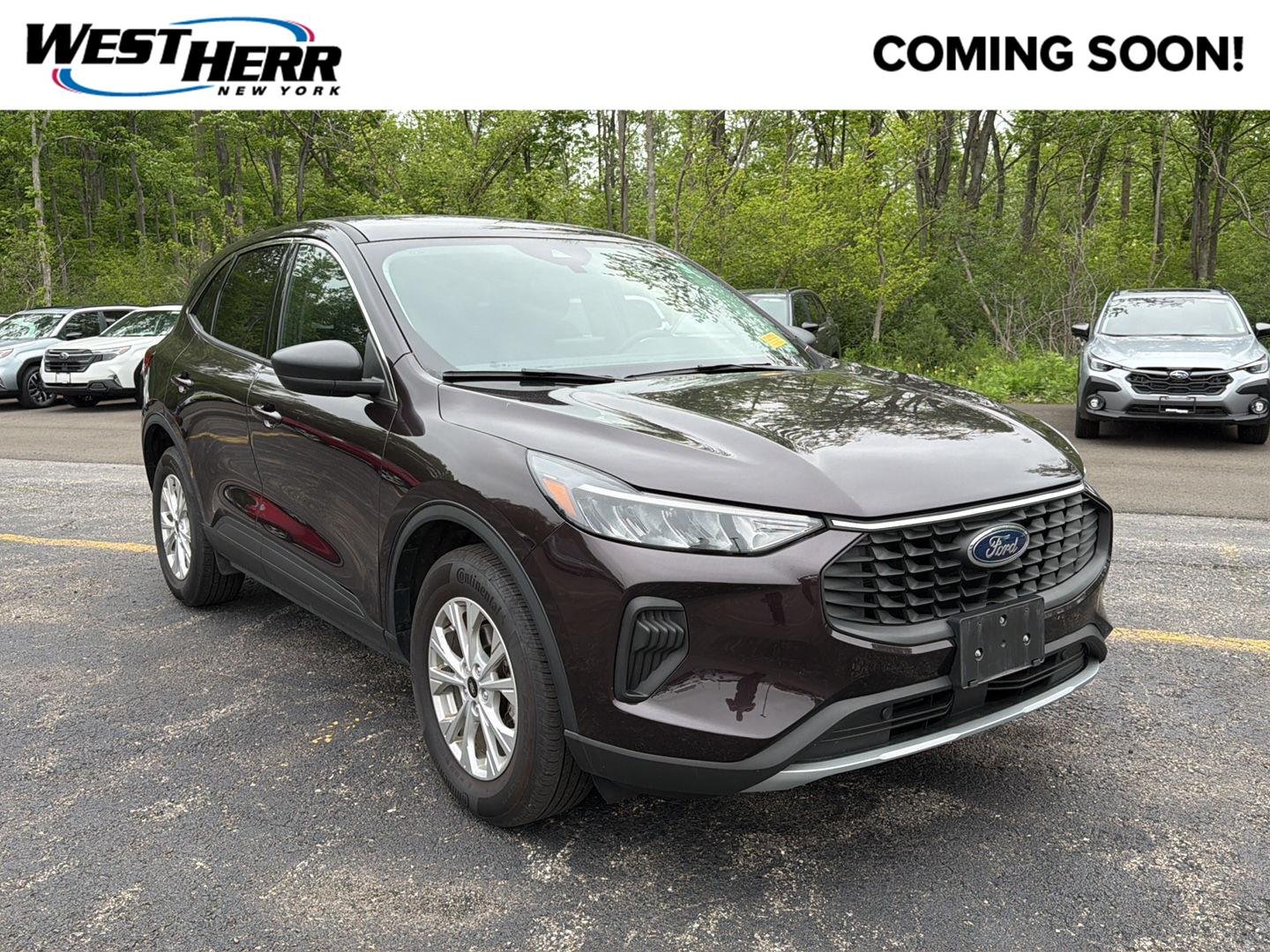 Used 2023 Cinnabar Red Ford Active image 1