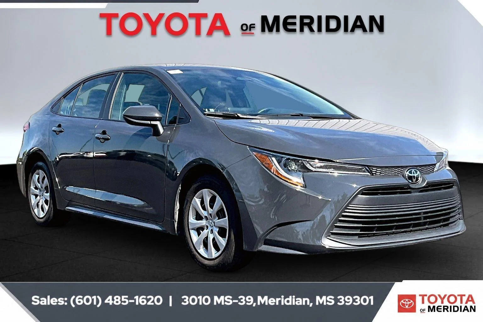 2024 Toyota Corolla LE CVT's photo
