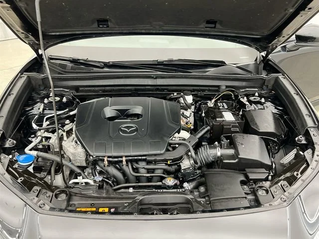 View 37