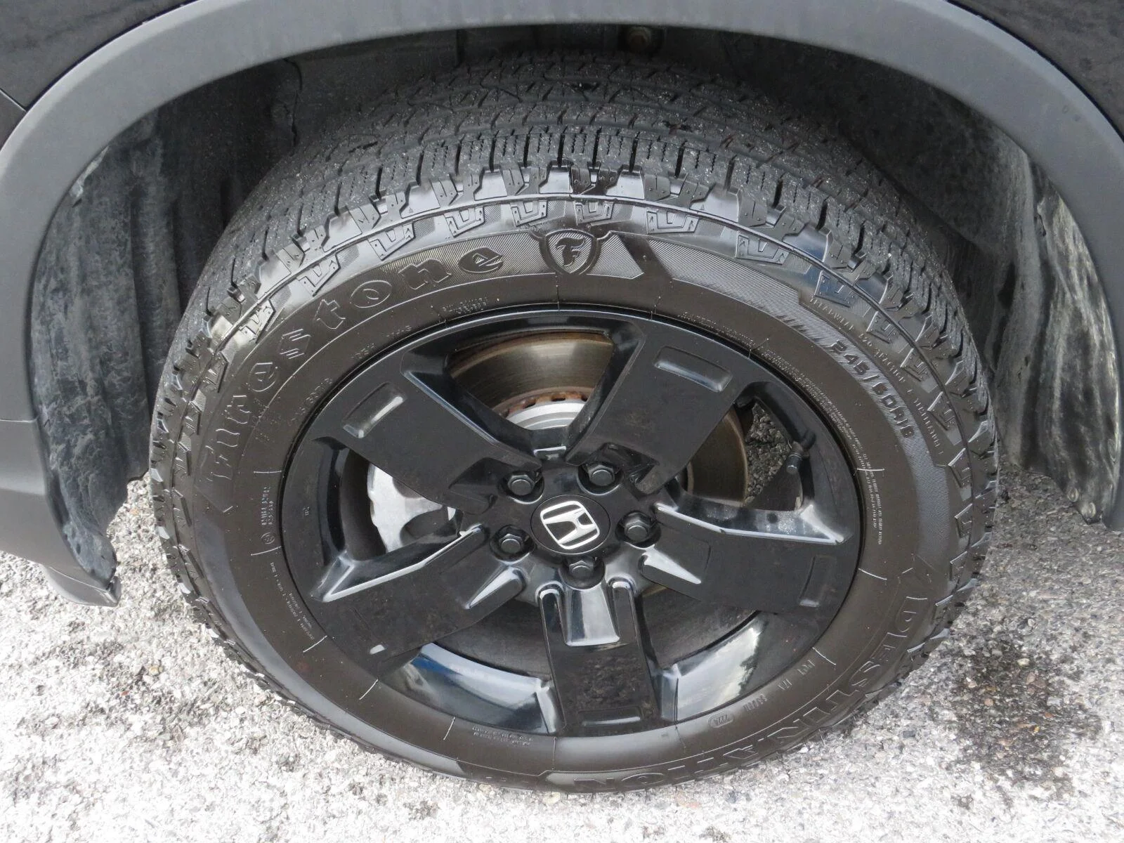 Used 2024  Honda Black Edition image 12