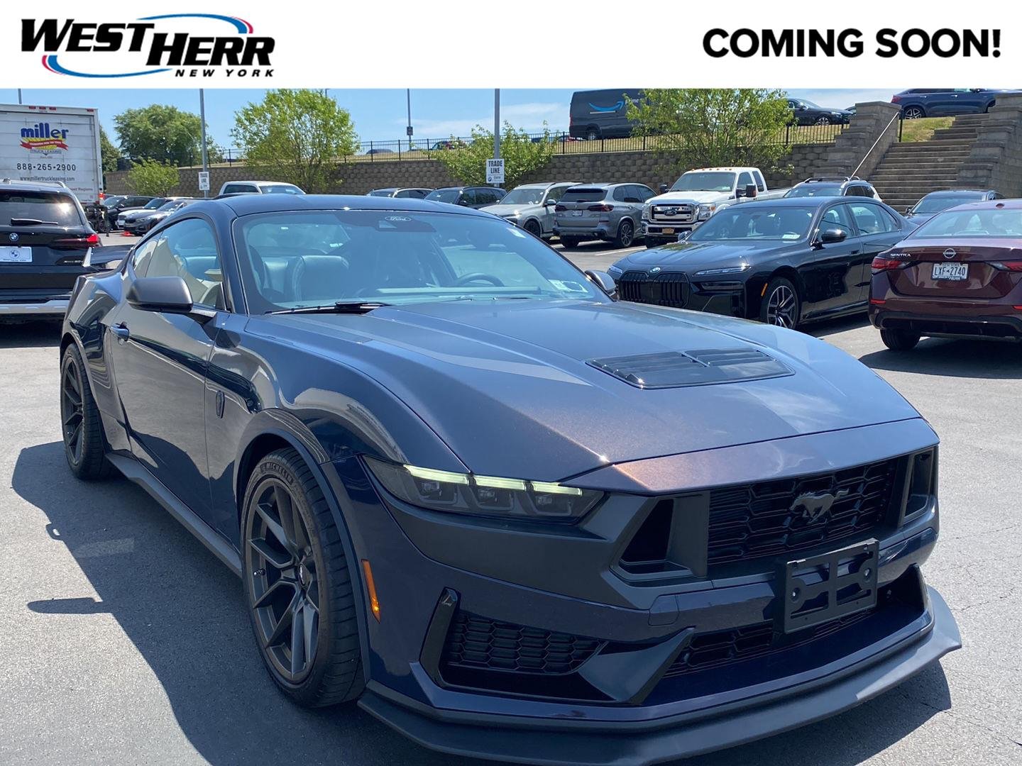 Used 2024 Blue Ember Ford Dark Horse image 1
