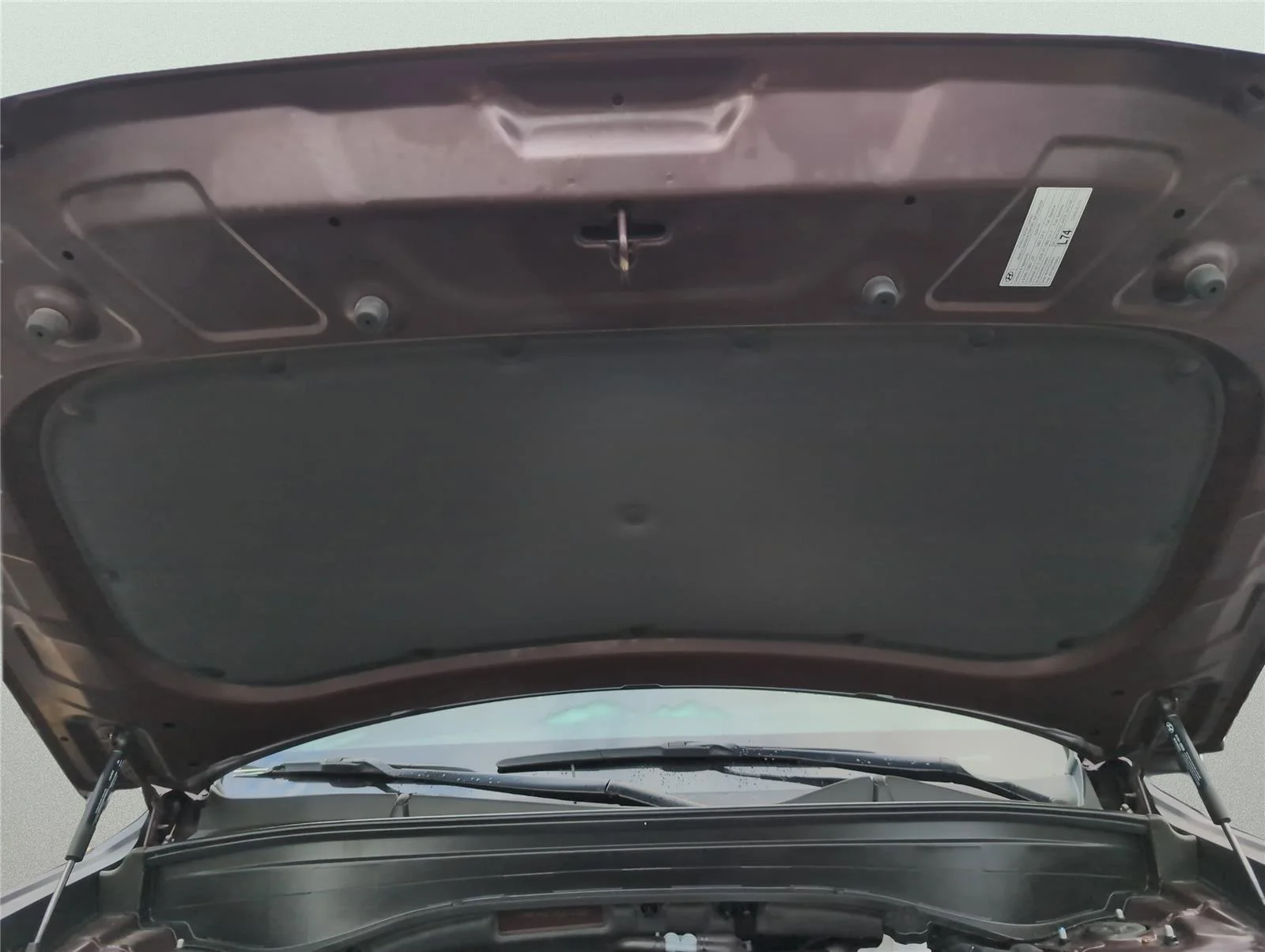 Used 2024 Sierra Burgundy Hyundai Calligraphy image 12