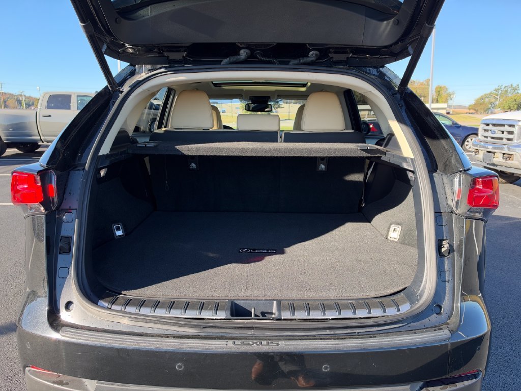 Used 2019 Black Lexus 300 Base image 4