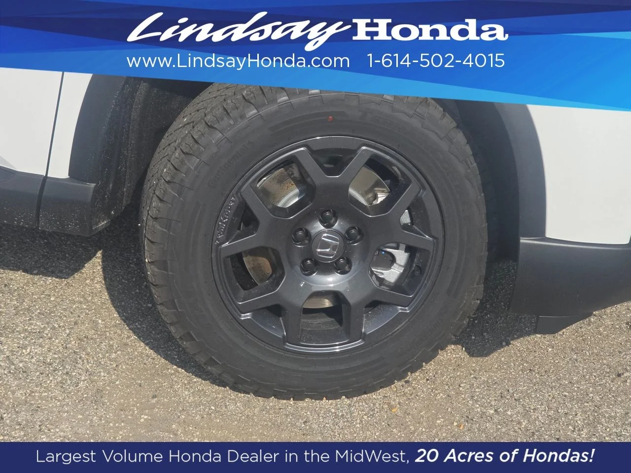 New 2026 Platinum White Pearl Honda TrailSport image 15