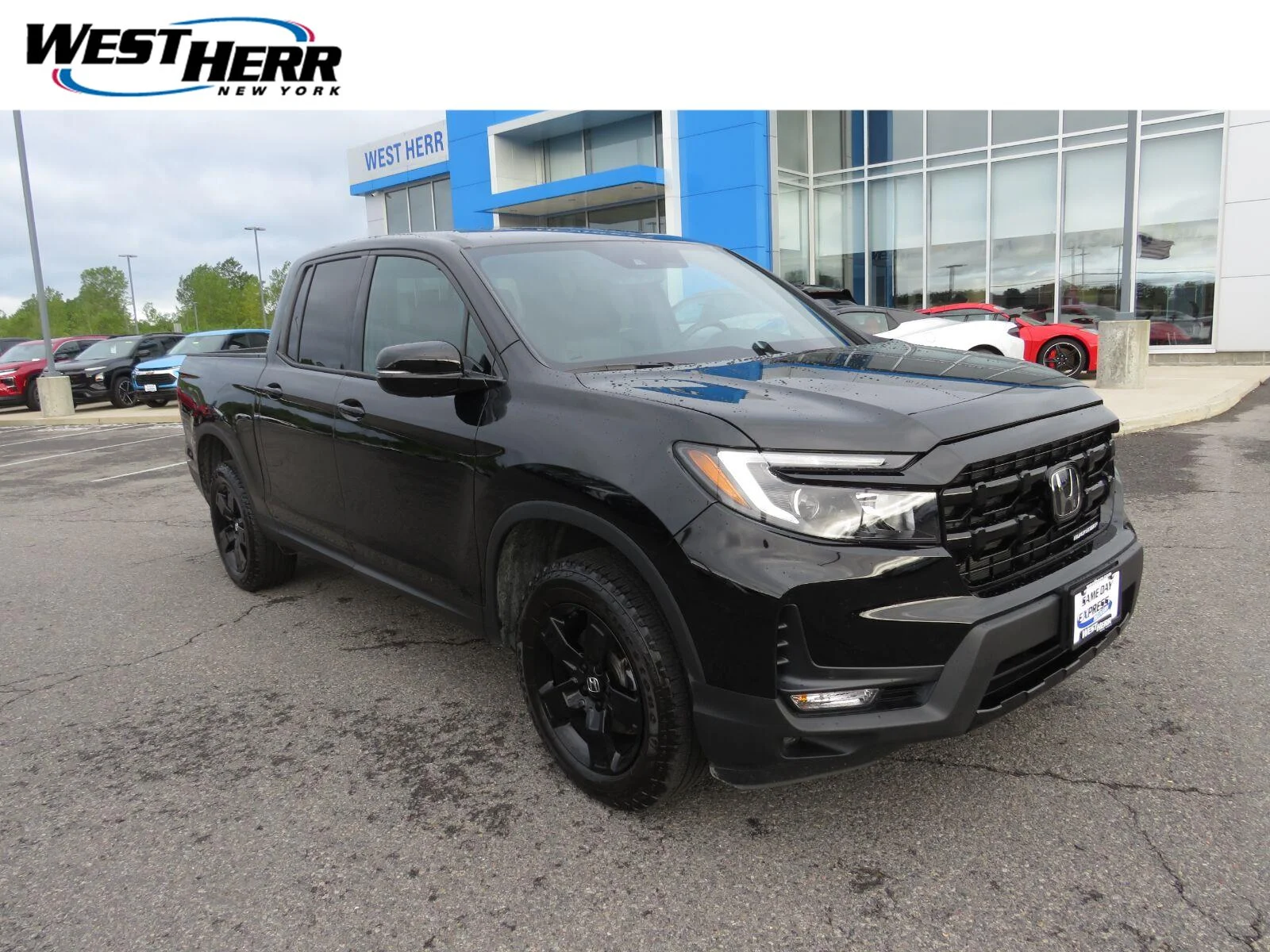 Used 2024  Honda Black Edition image 1