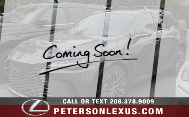 2024 Lexus RX