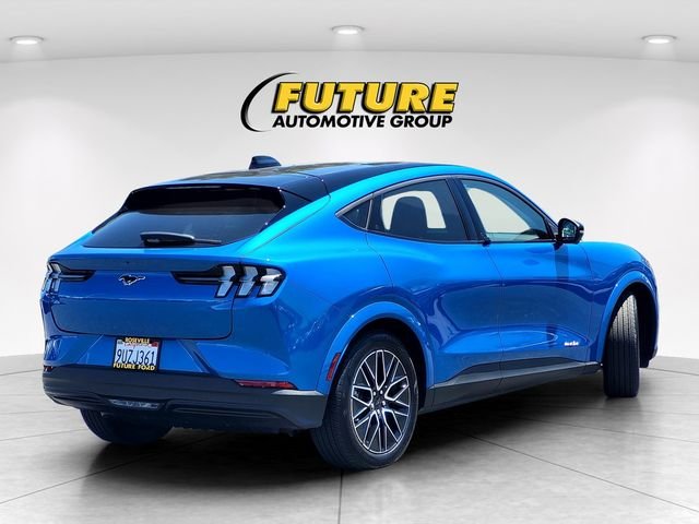 Used 2025 Blue Ford Premium image 4