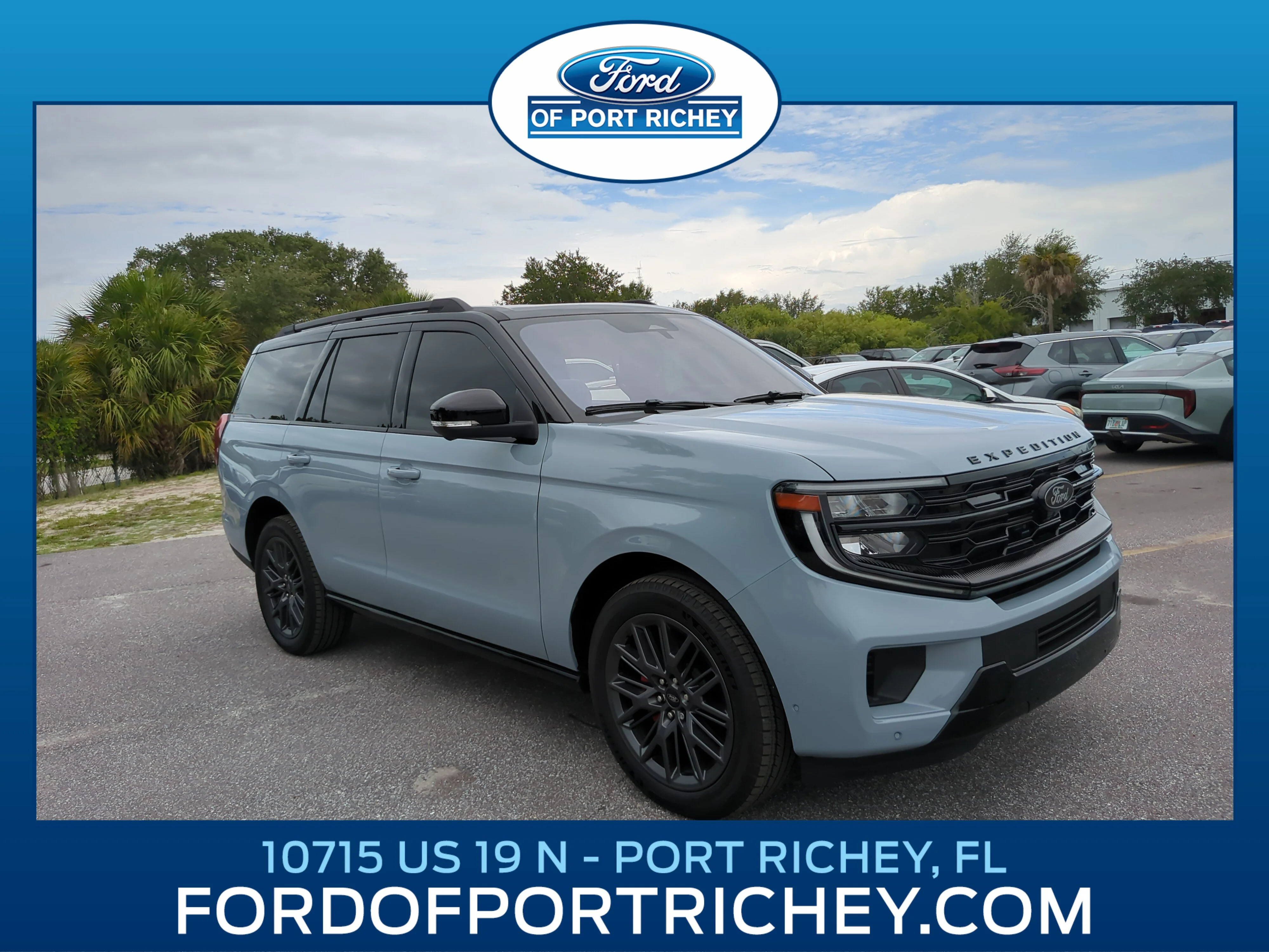 2025 Ford Expedition Platinum 4x4's photo