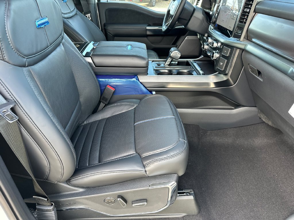 New 2025 White Ford Platinum image 13
