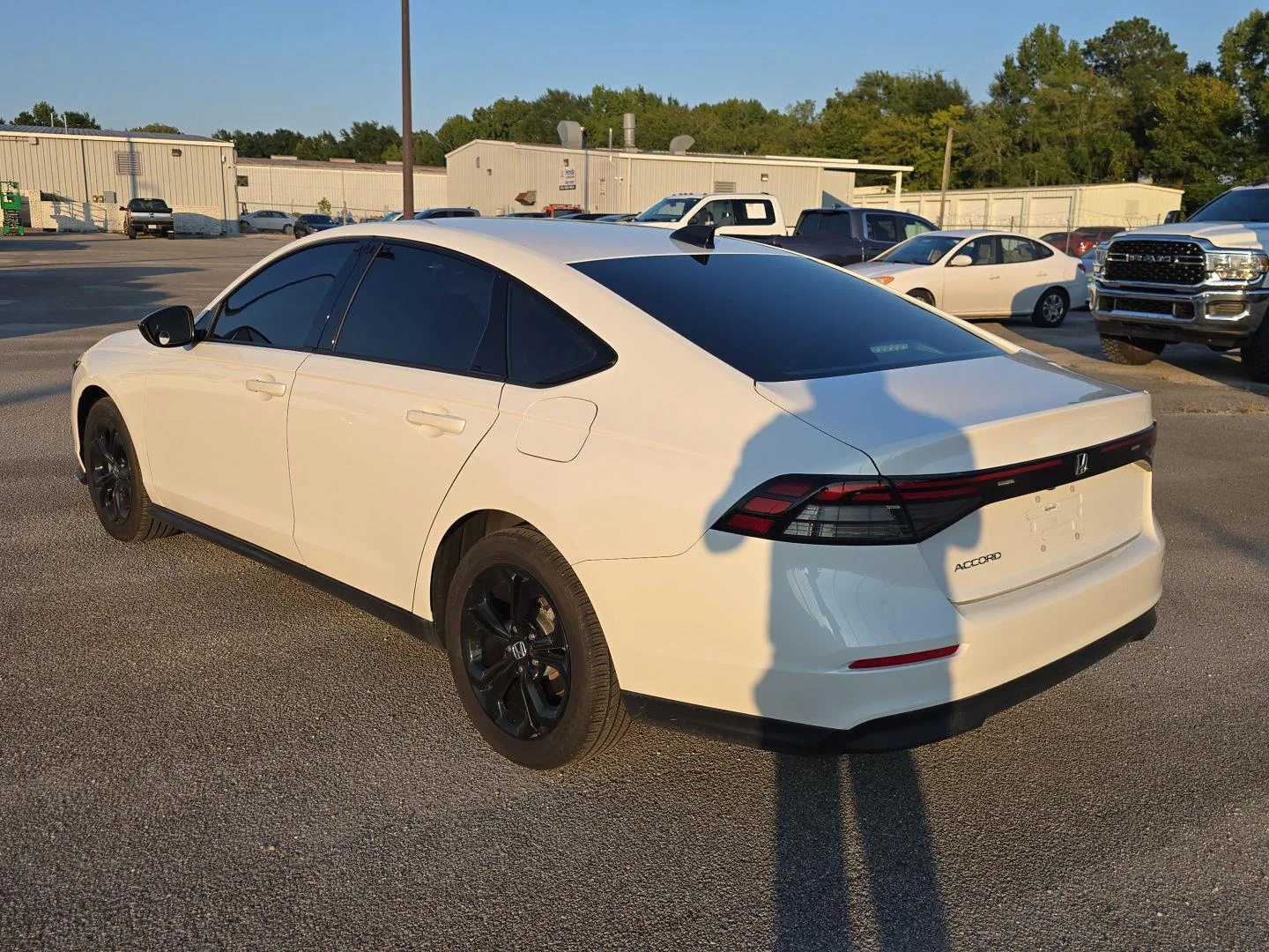 Used 2025 Platinum White Pearl Honda SE image 5