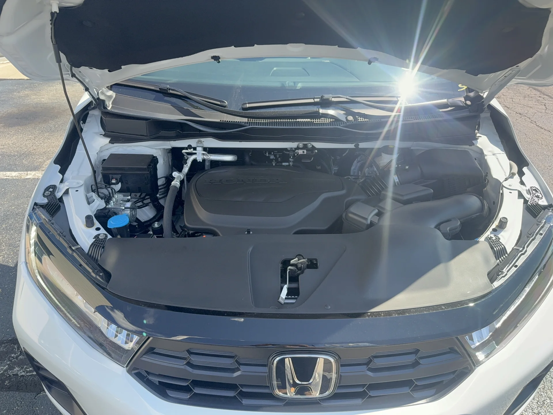 New 2026 Platinum White Pearl Honda Sport-L image 16