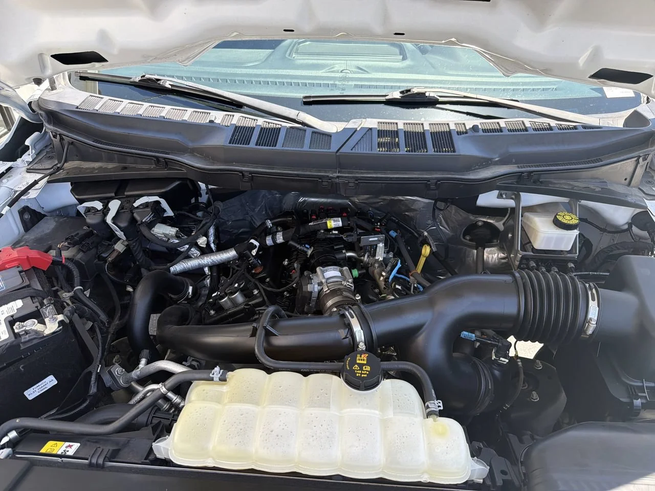 Used 2023 OXFORD WHITE Ford XL image 38