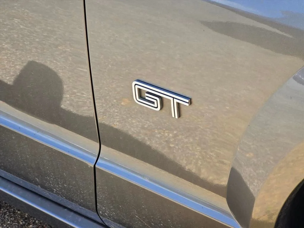 Used 2005 Gray Ford GT Premium image 15