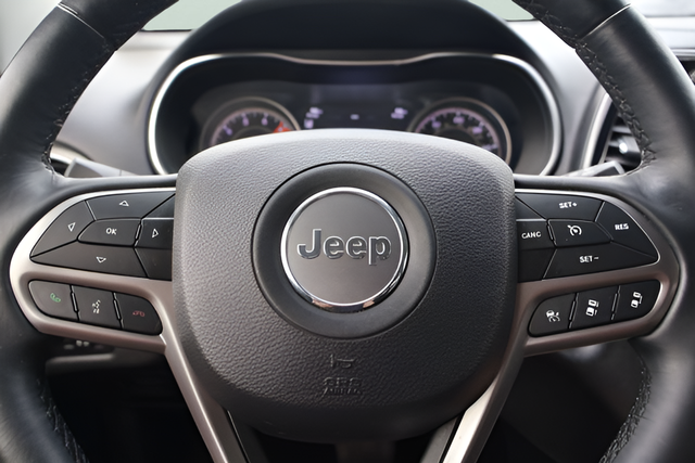 Used 2019 Gray Jeep Limited image 20