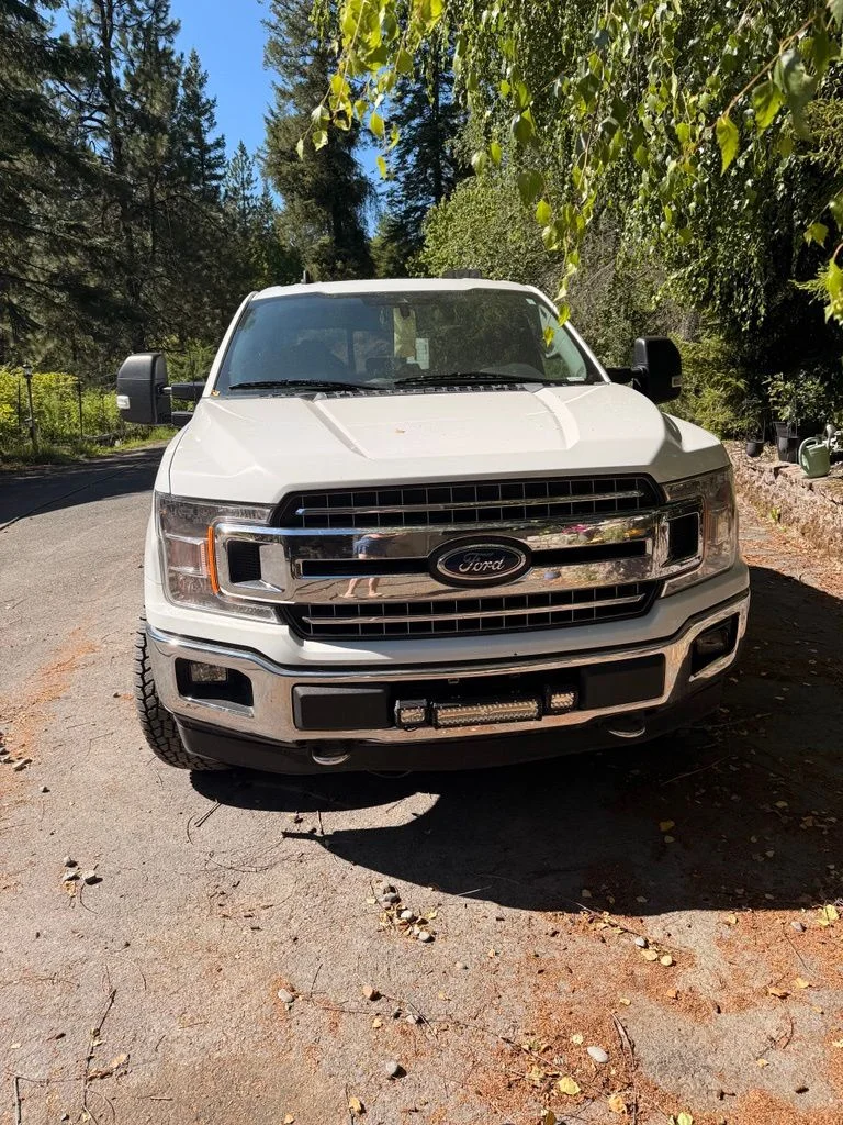 Used 2019 White Ford  image 2