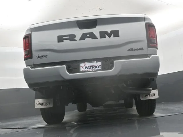 New 2026 Silver-Zynith Exterior Paint RAM  image 41
