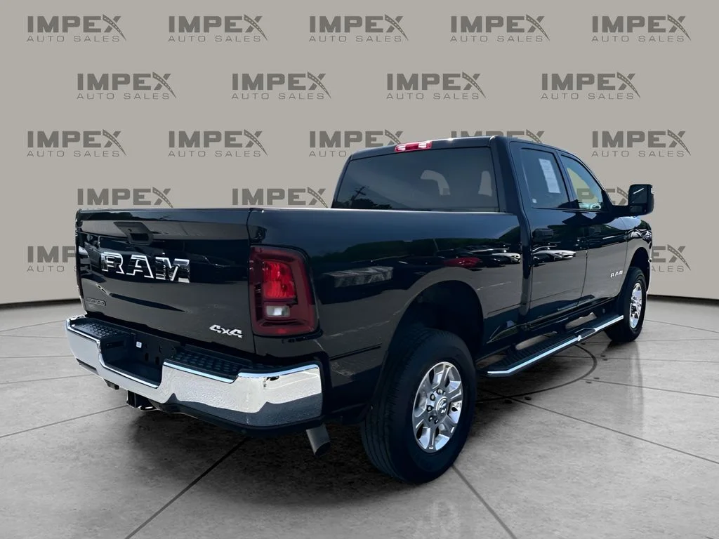 Used 2026 Black Ram Big Horn image 3