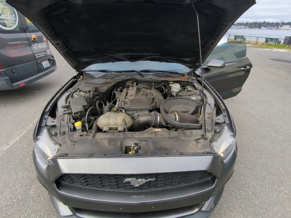 Used 2017 Gray Ford EcoBoost image 22