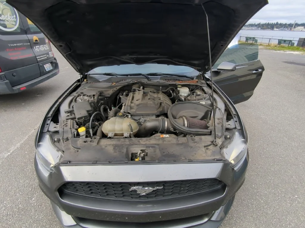 Used 2017 Gray Ford EcoBoost image 22