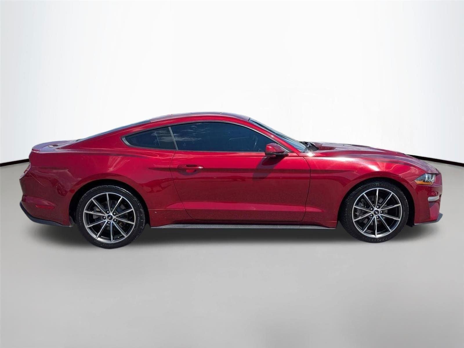 Used 2019 Ruby Red Metallic Tinted Clearcoat Ford EcoBoost Premium image 4