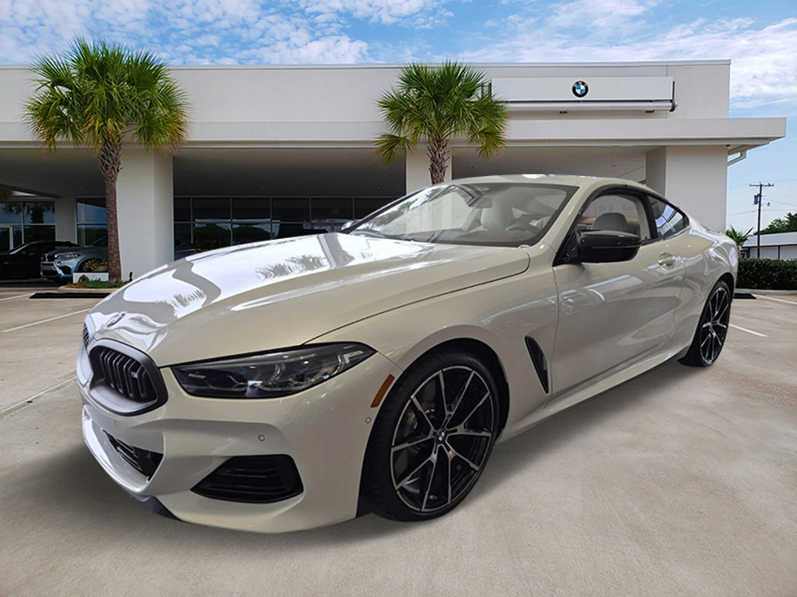 2026 BMW 8 Series M850i xDrive Coupe's photo