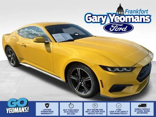 Used 2024 Yellow Ford EcoBoost image 1