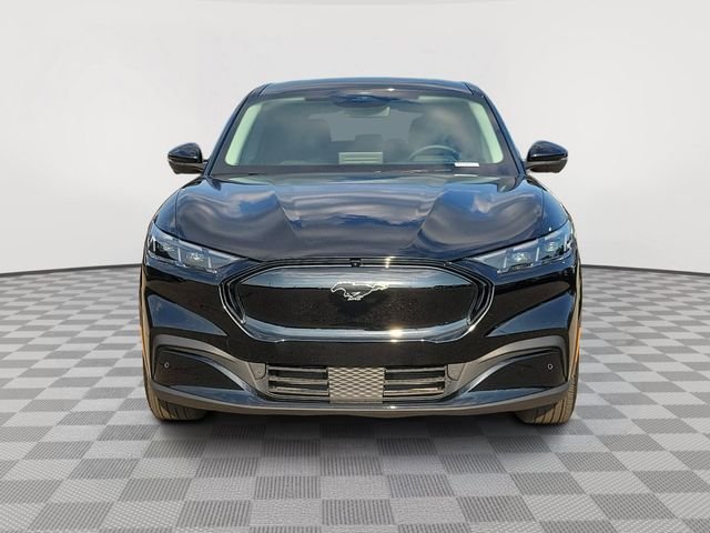 Certified Used 2025 Shadow Black Ford Premium image 8